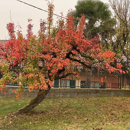Al Vecchio Pero, Con Ampio Giardino Privato Βίλα La Morra Εξωτερικό φωτογραφία